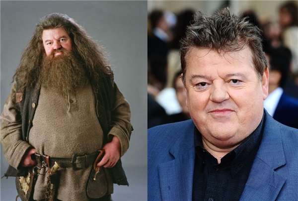 Tóm tắt nhân vật Rubeus Hagrid trong truyện Harry Potter