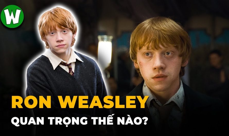 Tóm tắt nhân vật Ron Weasley trong truyện Harry Potter ?
